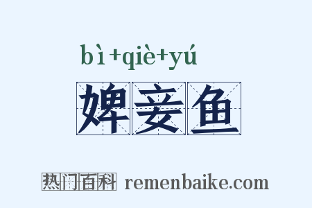 婢妾鱼是什么意思的图片